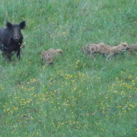 Au Monty 4* プロフォンドヴィル