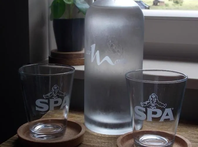 B&B Au Monty 프로폰데빌